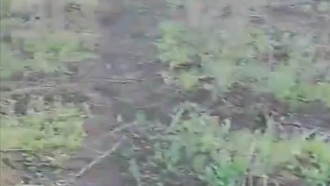 📡⚡ Ukraine Russia War | Fiber Optic Cables Blanket the Frontlines | RCF