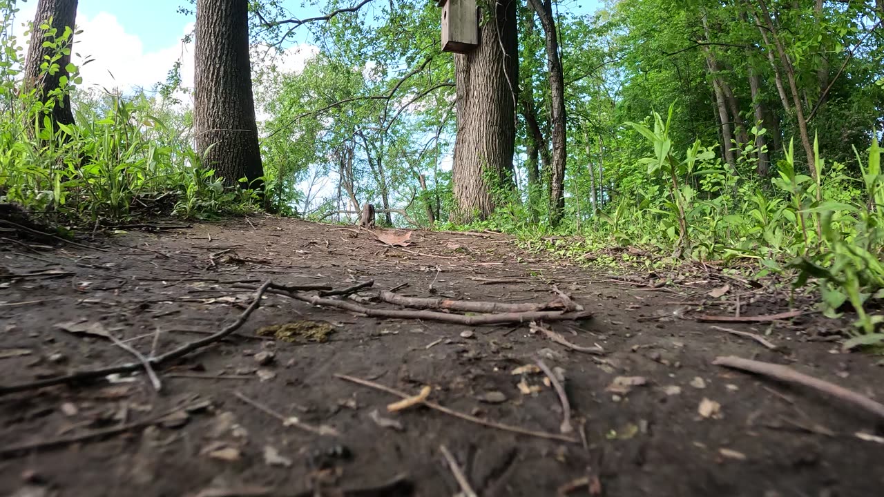 Walking on a dirt path