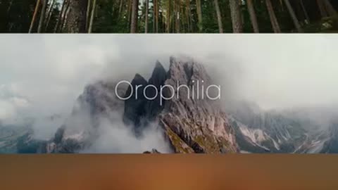 Discover Your Nature Love: Thalassophilia, Dendrophilia, Orophilia & Heliophilia