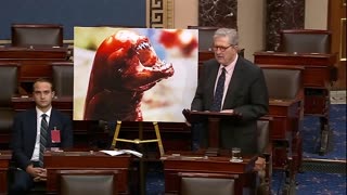 Meanwhile in the United States Congress...