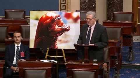 Meanwhile in the United States Congress...