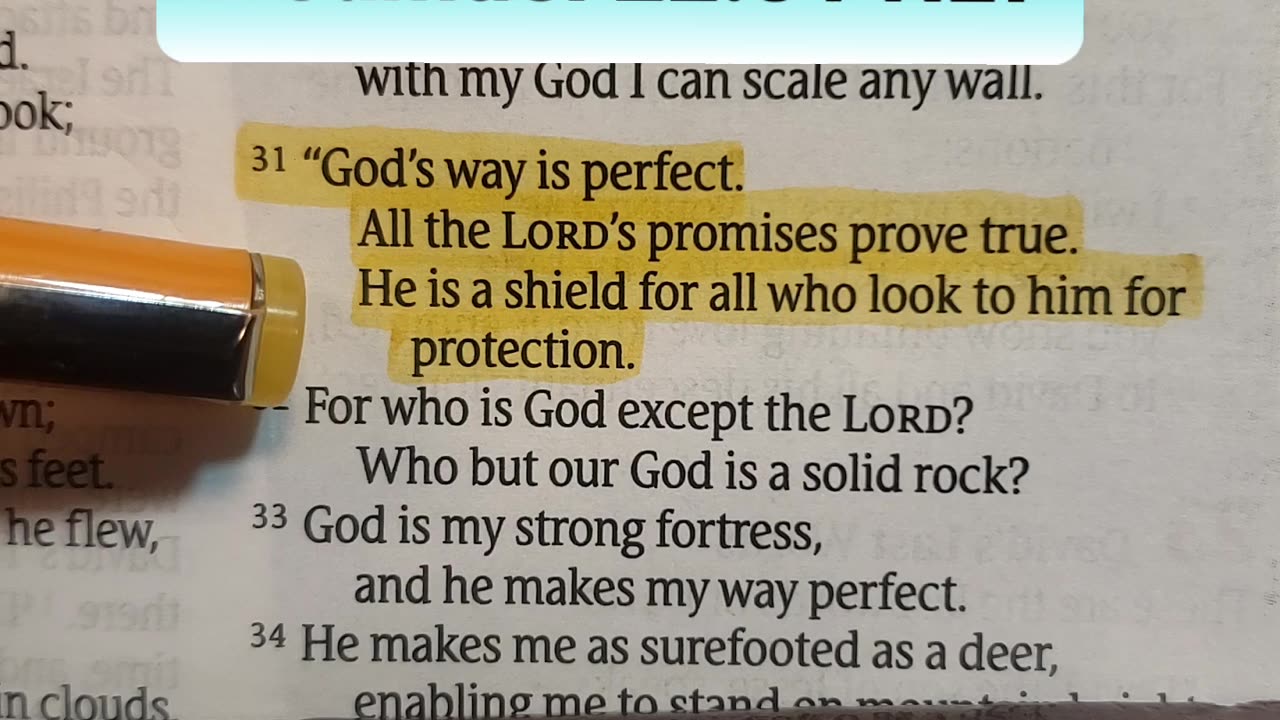 [The LORD] He is a shield for all who look to him for protection.