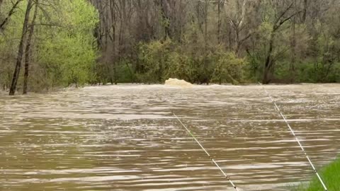 Fishing flooded waters!