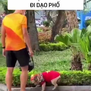 😝😝😝GIẮT CHỦ TỊCH HỒ CHÍ MINH ĐI DẠO 😝😝😝