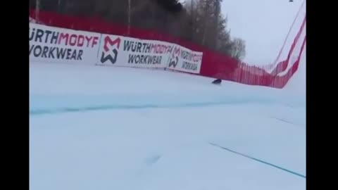 dog goes nuts on the ski slopes