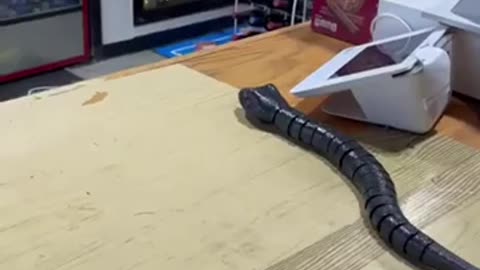 😂💡 You Won't Believe This Clever Solution! | FunFM