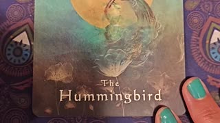 Oracle Card Reading 9/14/25