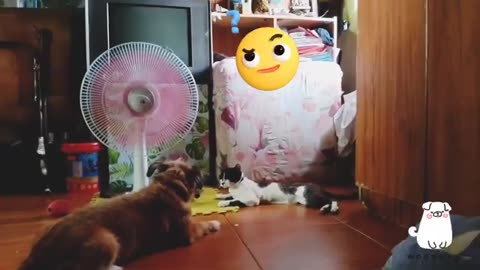 TRY NOT TO LAUGH 😆 Best Funny Videos Compilation 😂😁😆 Memes.