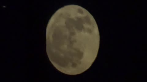 The Pink Moon June 2025