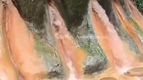 Labia Watering Hole