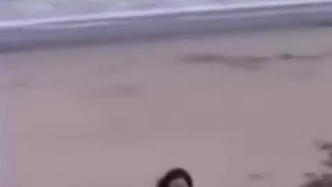 👻🌊 Spooky Lady on the Beach Appears Out of Nowhere | TheHauntingHour