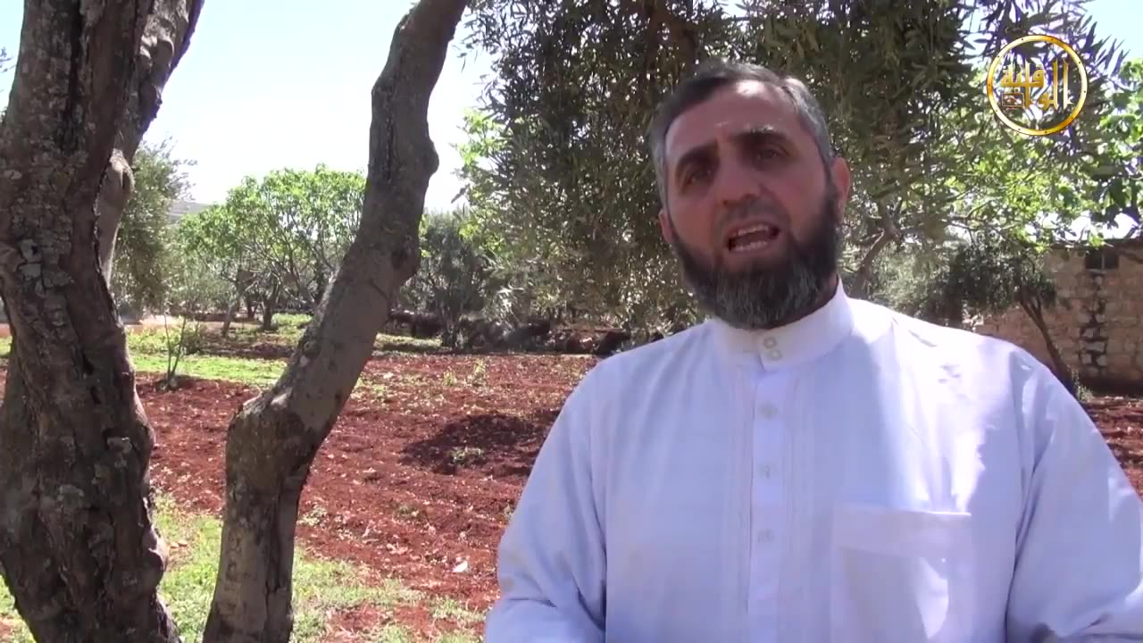 خواطر شامية قردة خاسئين