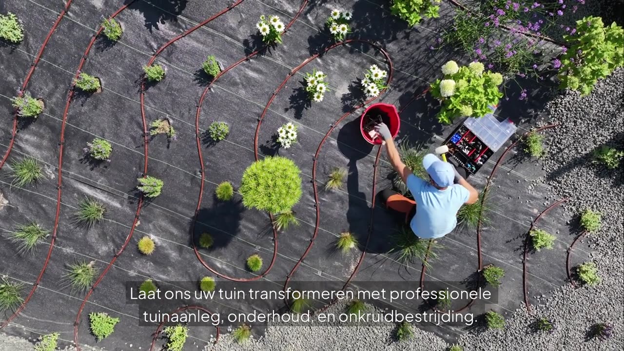 Hovenier Den Haag