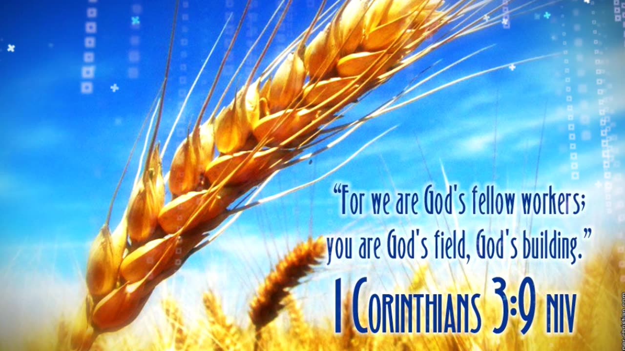 THE HEART OF OUR TESTIMONY - DAILY DEVOTIONAL ❤️