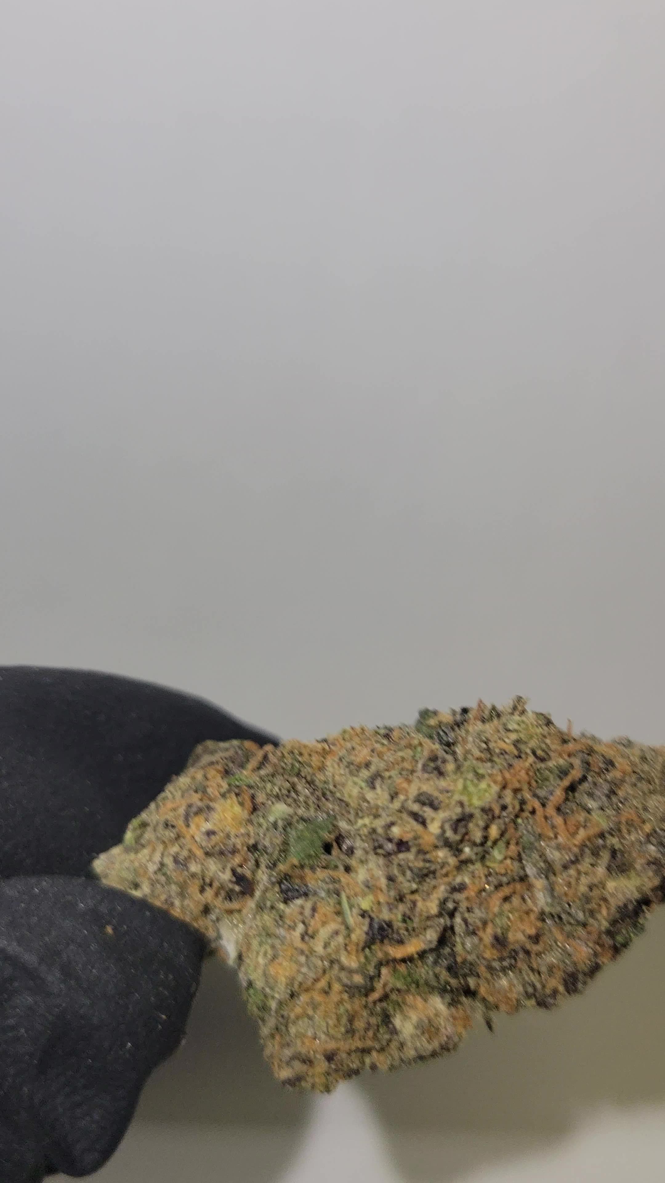 Purple Panty Dropper THC Flower