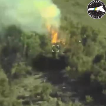 Drone Smashes into Russian Mtsa-S Heavy Gun