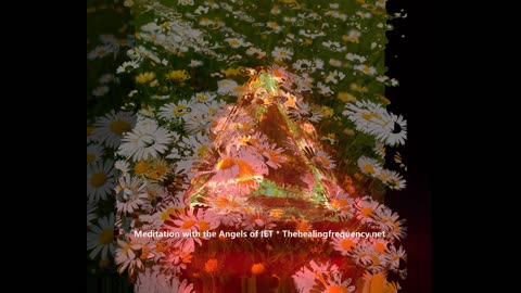 Meditation with the healing Angels of IET