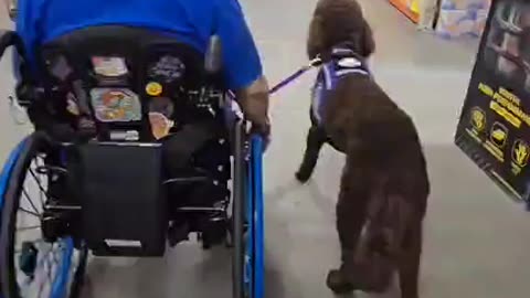 Jordan's First Outing with His New Partner Tiffany