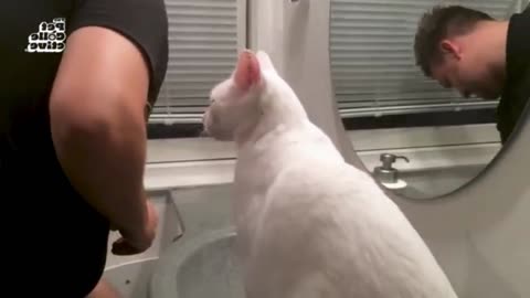 Animals That Don’t Want to Wake Up 47