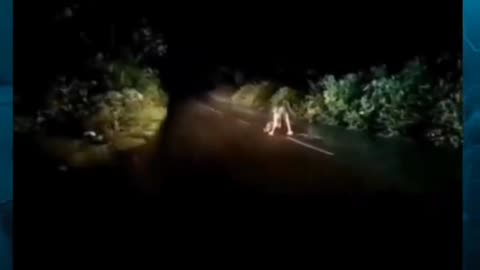😱👻 You Won't Believe What They Caught in This Haunted Video! Ghostly Apparition | TheHauntingHour