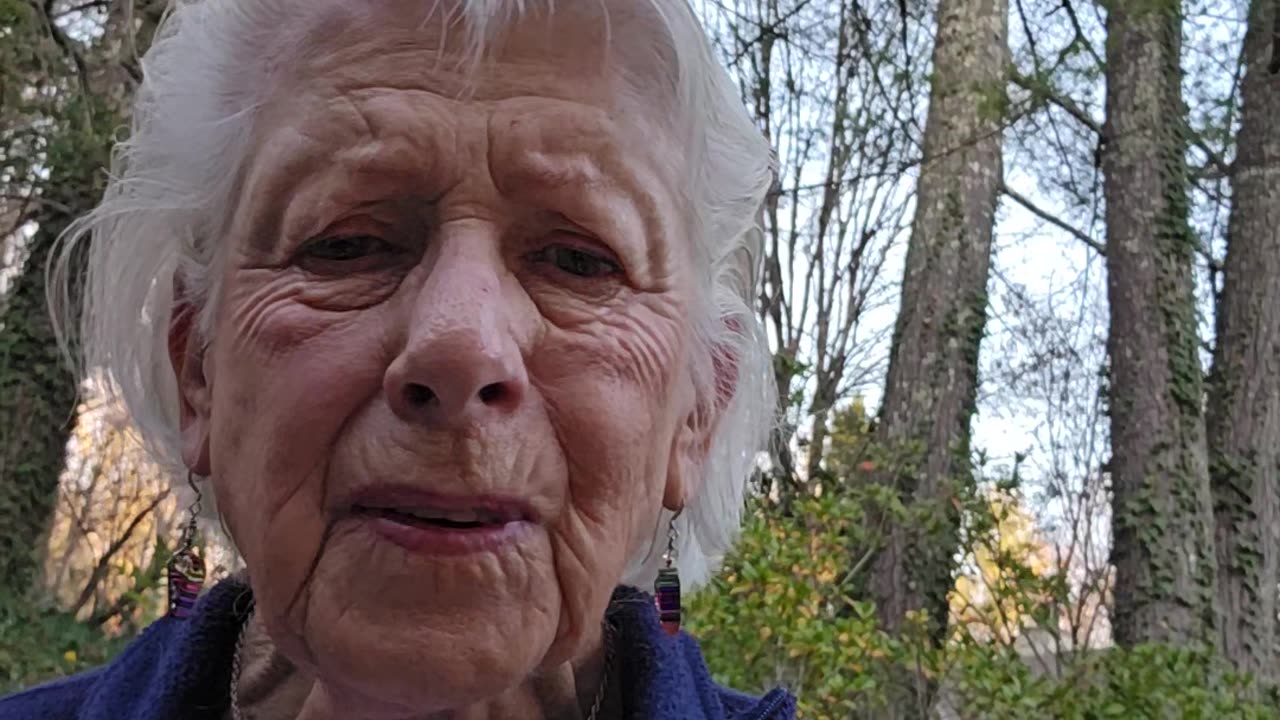 Northwood Estates update