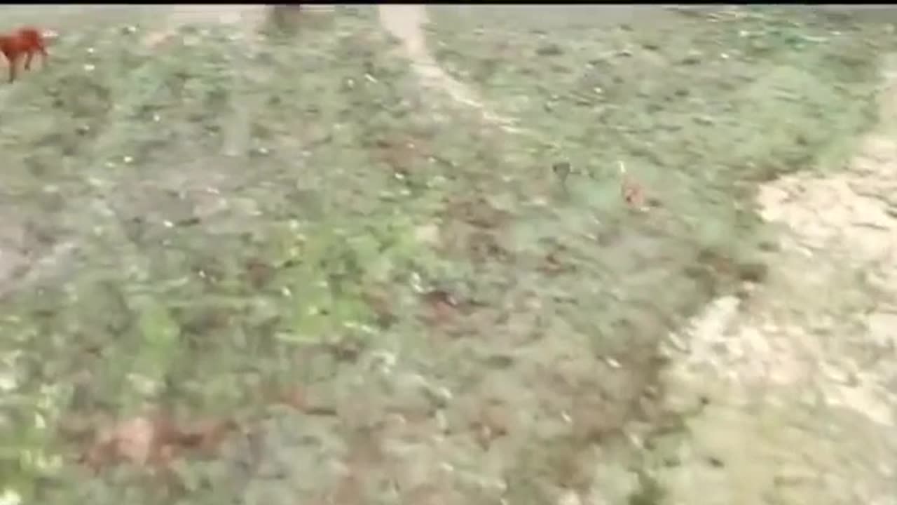 Never Give Up