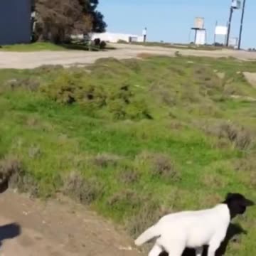 They found her mommy.. 🥺