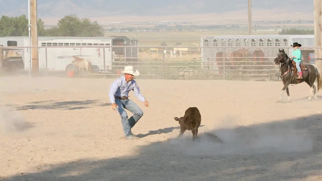 Saddle Up The Ultimate Handbook for Horse Owners and Riders