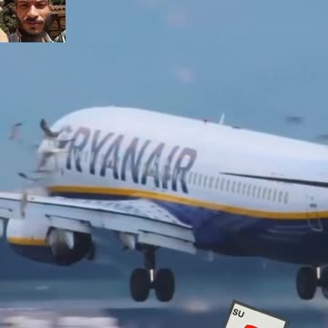Ryanair #B737 Many Bird Strike Landing #Flying #Aviation #AeroArduino