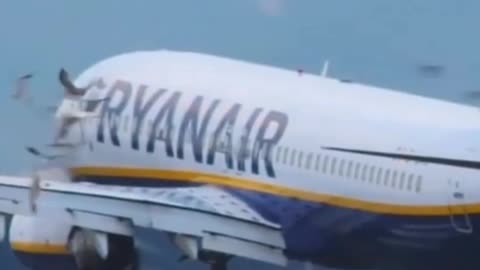 Ryanair #B737 Many Bird Strike Landing #Flying #Aviation #AeroArduino