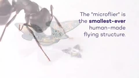 Smart Dust