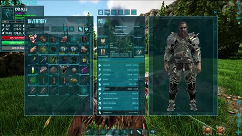 Ark game play