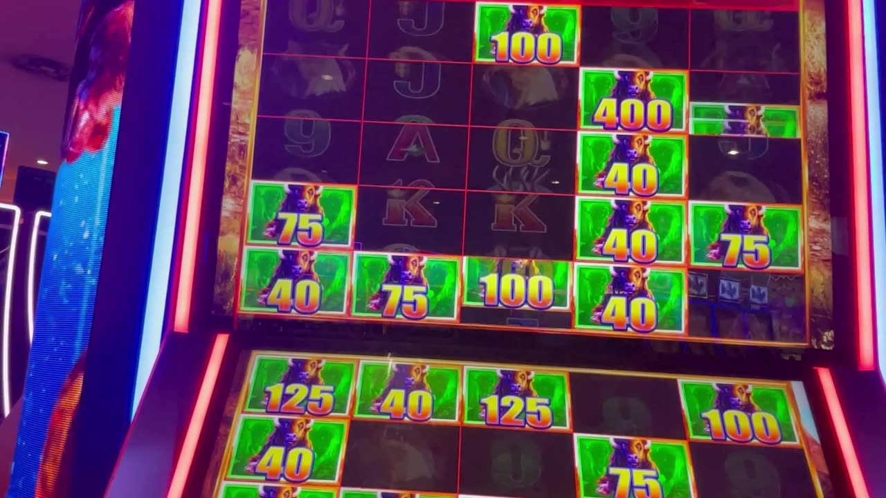 Chasing the Bonus on Buffalo Ultimate Stampede 🎰⚡