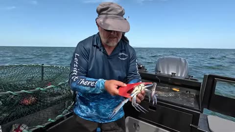 CATCHING Crabs and Fishing How hard can it be-_part5