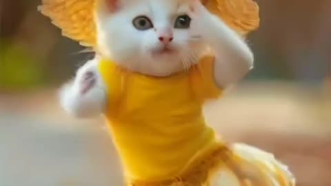 Cute Macarena Dance)