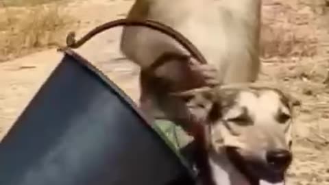 Funny