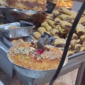 Pastry shop in Paris.