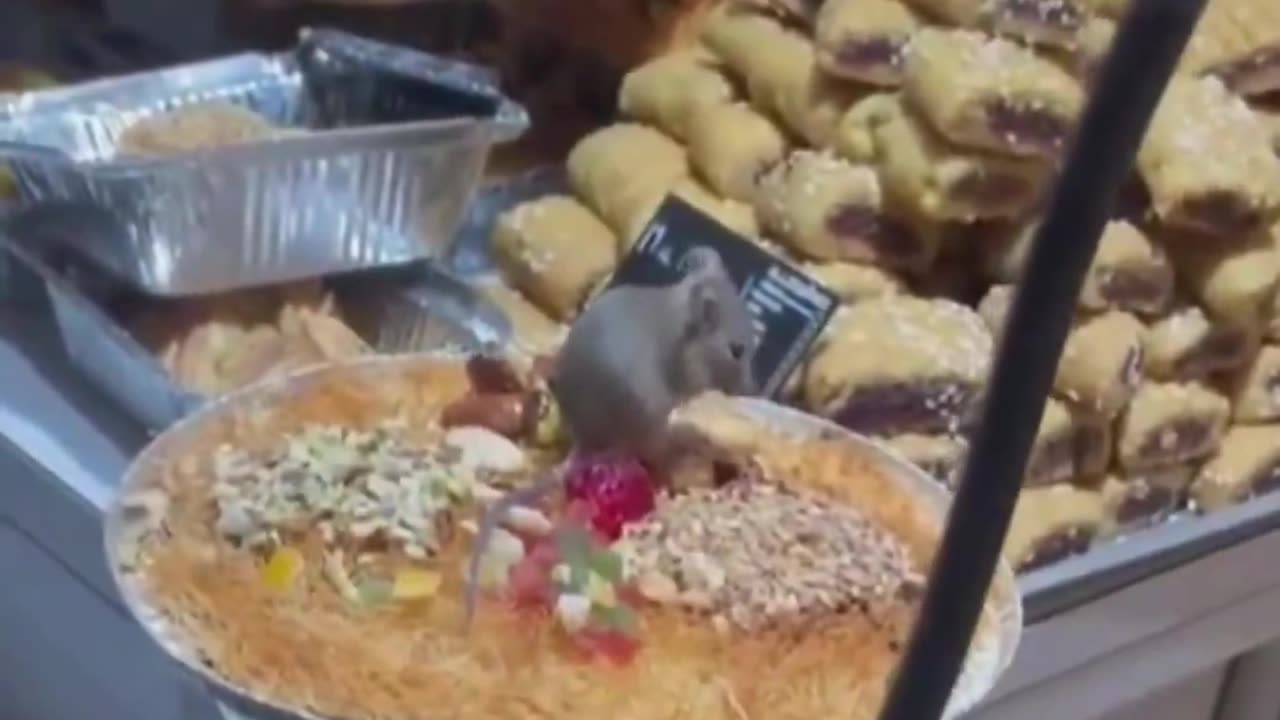 Pastry shop in Paris.