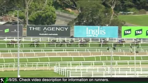 2025 Kingston Town Stakes | Vauban, Birdman, Elamaz