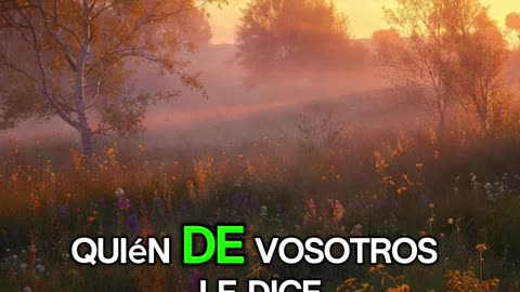 🙏✨ Evangelio de hoy Martes, 11 de Noviembre del 2025✨🙏