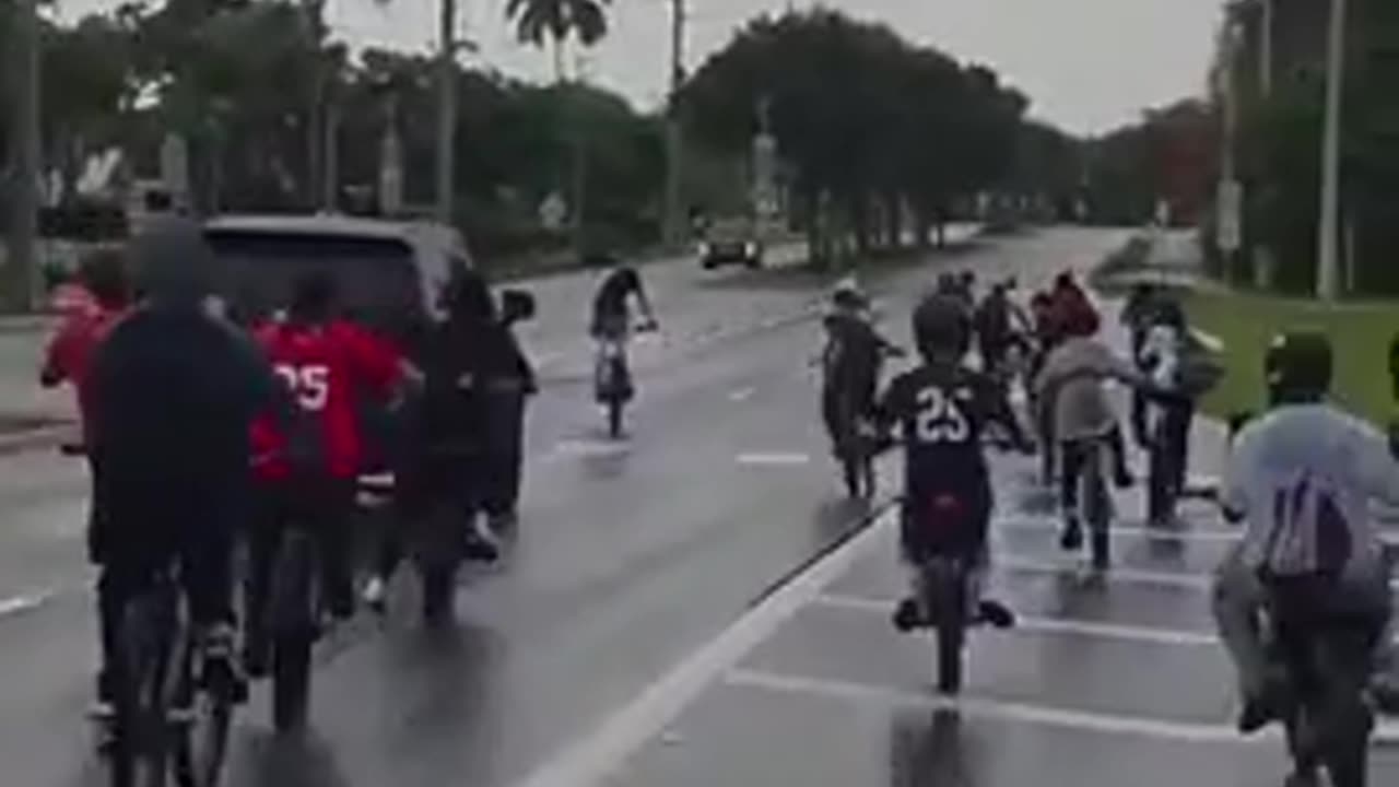 SEND THEM ALL BACK TO AFRICA WHERE THEY BELONG