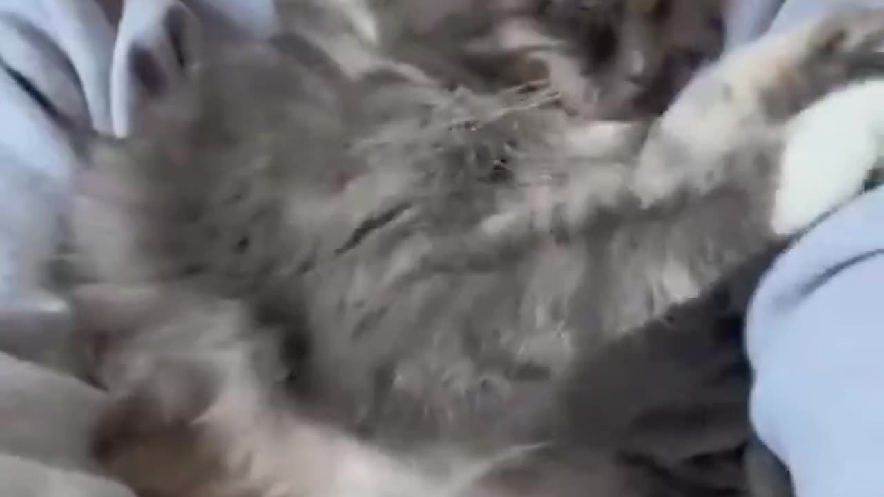 Cute af