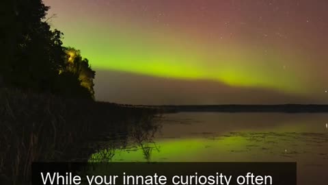 Daily Horoscope | Sagittarius 🌟