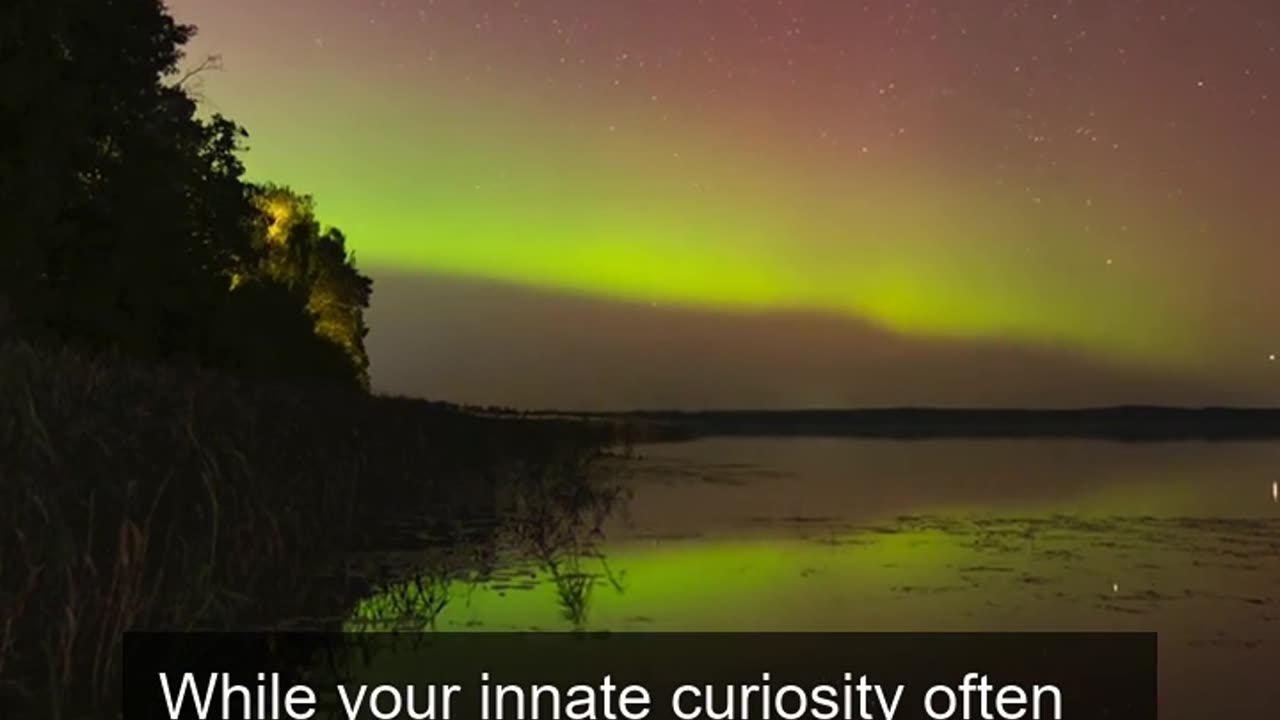 Daily Horoscope | Sagittarius 🌟