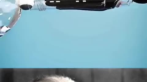 Man video