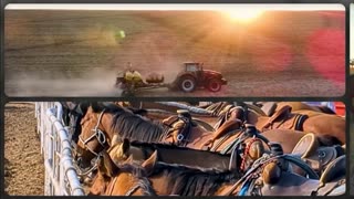 Trent Loos in the Morning - 12/16/2025