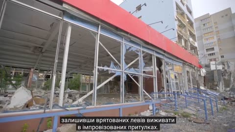 🦁🛬️ Ukraine Russia War | MrBeast's Team Rescues Lions in War-Torn Ukraine | RCF