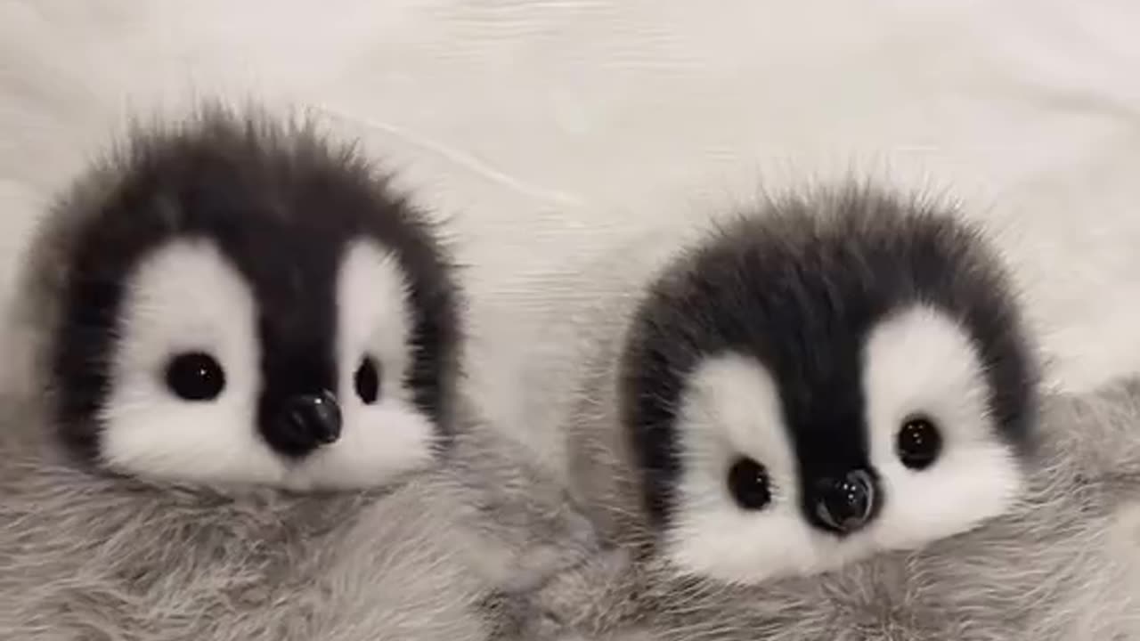 So adorable 🐧🐧