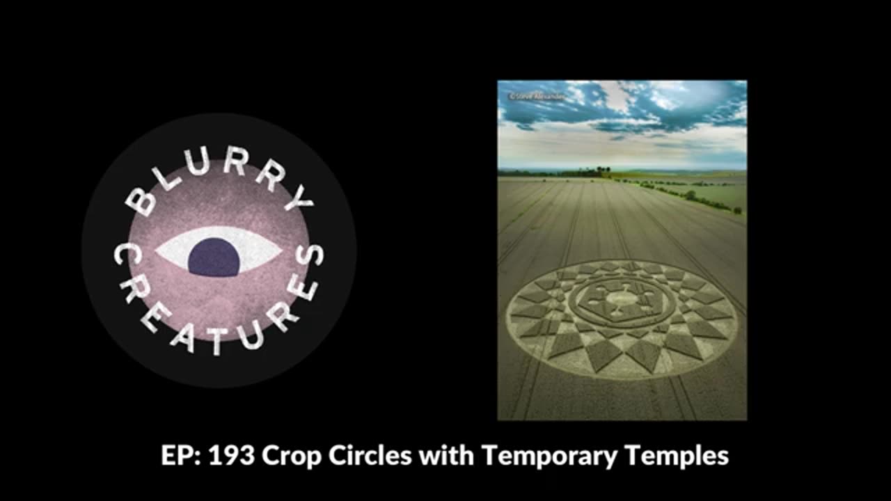 Discussion on the Bizarre Phenomenon of Crop Circles