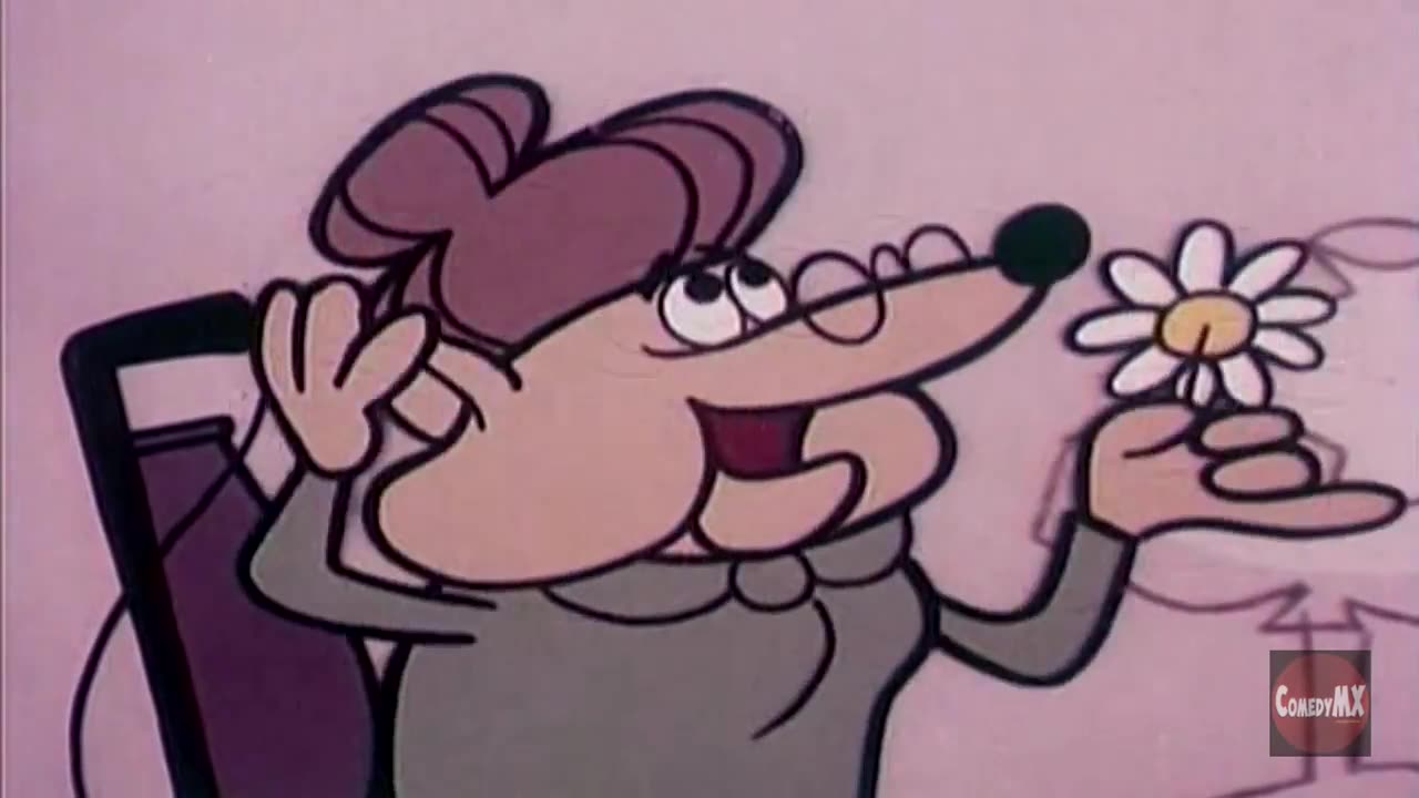 Television Job - Calvin and Colonel